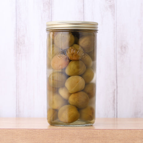 ワイドマウスプリザーブジャー1L（WideMouthPreserveJar1L）